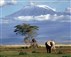 Kilimanjaro Challenge July 2011
